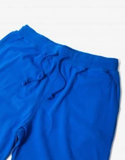 The Hundreds Bars Sweat Shorts - Blue