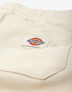 Dickies Champlin Shorts - Cement