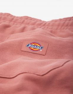 Dickies Champlin Shorts - Withered Rose