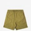 Dickies Pelican Rapids Shorts - Green Moss