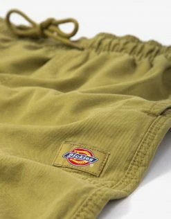 Dickies Pelican Rapids Shorts - Green Moss