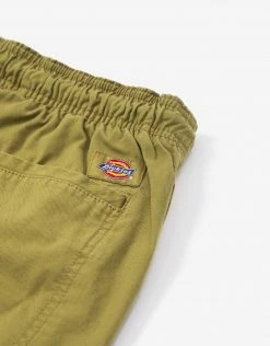 Dickies Pelican Rapids Shorts - Green Moss