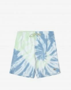 Dickies Seatac Shorts - Celadon Green