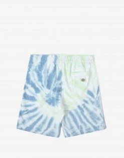 Dickies Seatac Shorts - Celadon Green