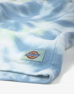 Dickies Seatac Shorts - Celadon Green