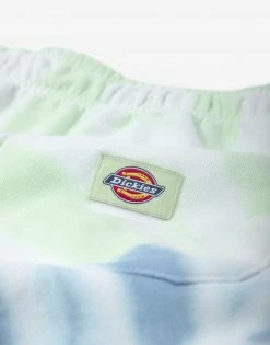 Dickies Seatac Shorts - Celadon Green