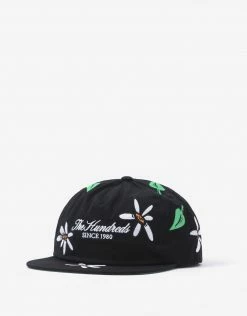 The Hundreds Ditsy Snapback Cap - Black