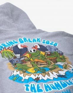 The Hundreds Spring Break Hoody - Oxford Grey